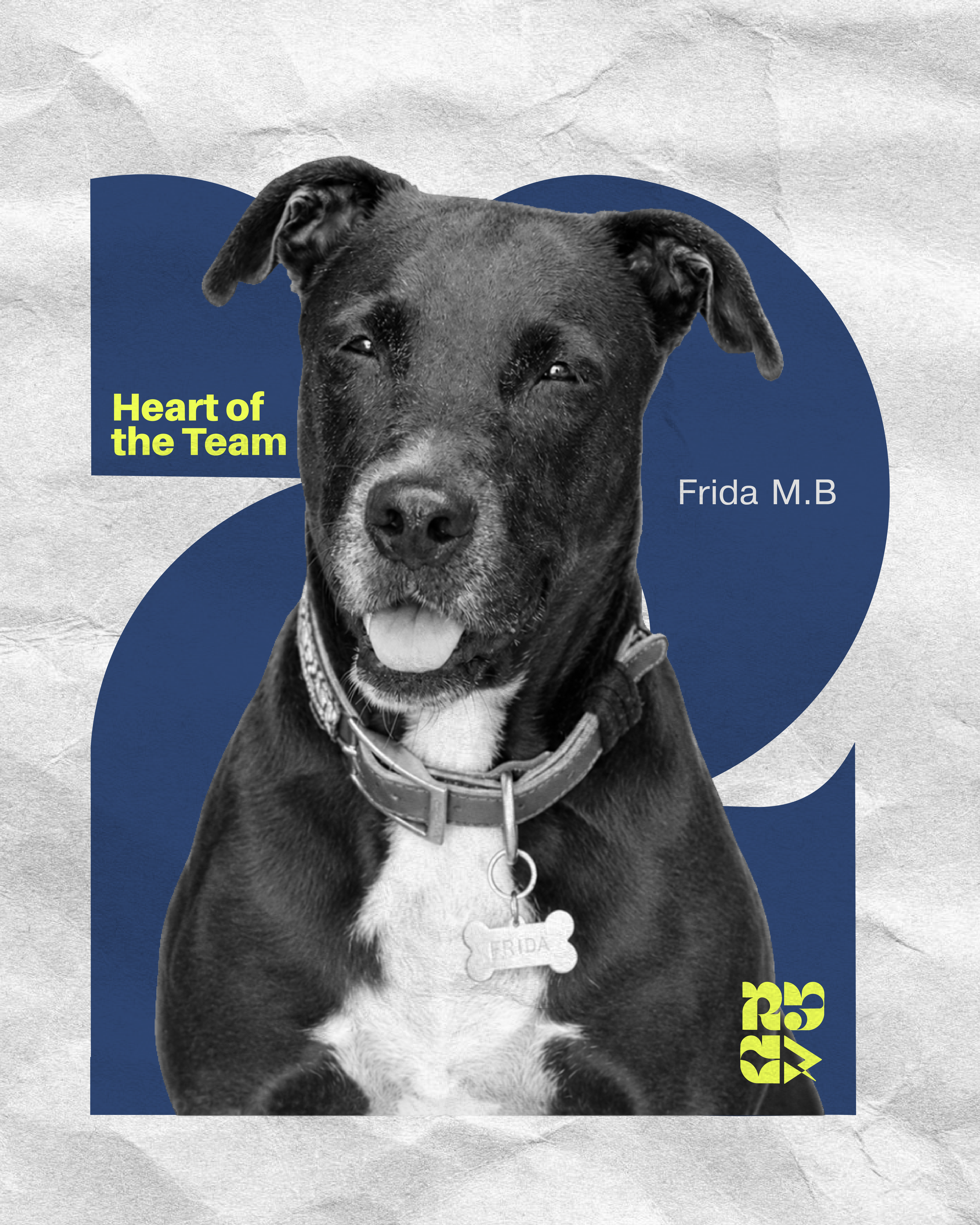 Equipo R3C Creative Studio – Heart of the Team